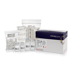 GeneJET Whole Blood Genomic DNA Purification Mini Kit